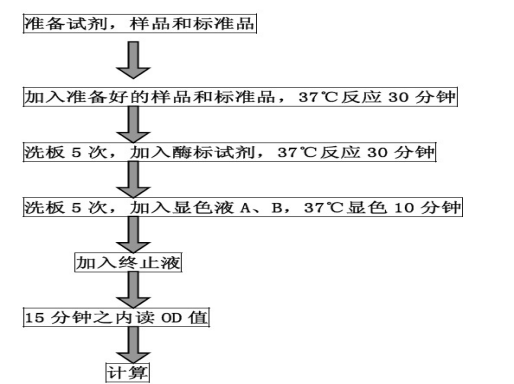 084344353.png wps15.png